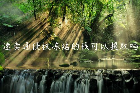 速賣通侵權(quán)凍結(jié)的錢可以提取嗎